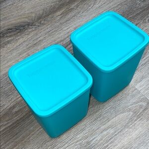 Tupperware Aqua Storage Container Bundle of Two